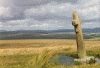 wpe05391.gif (118751 bytes)
